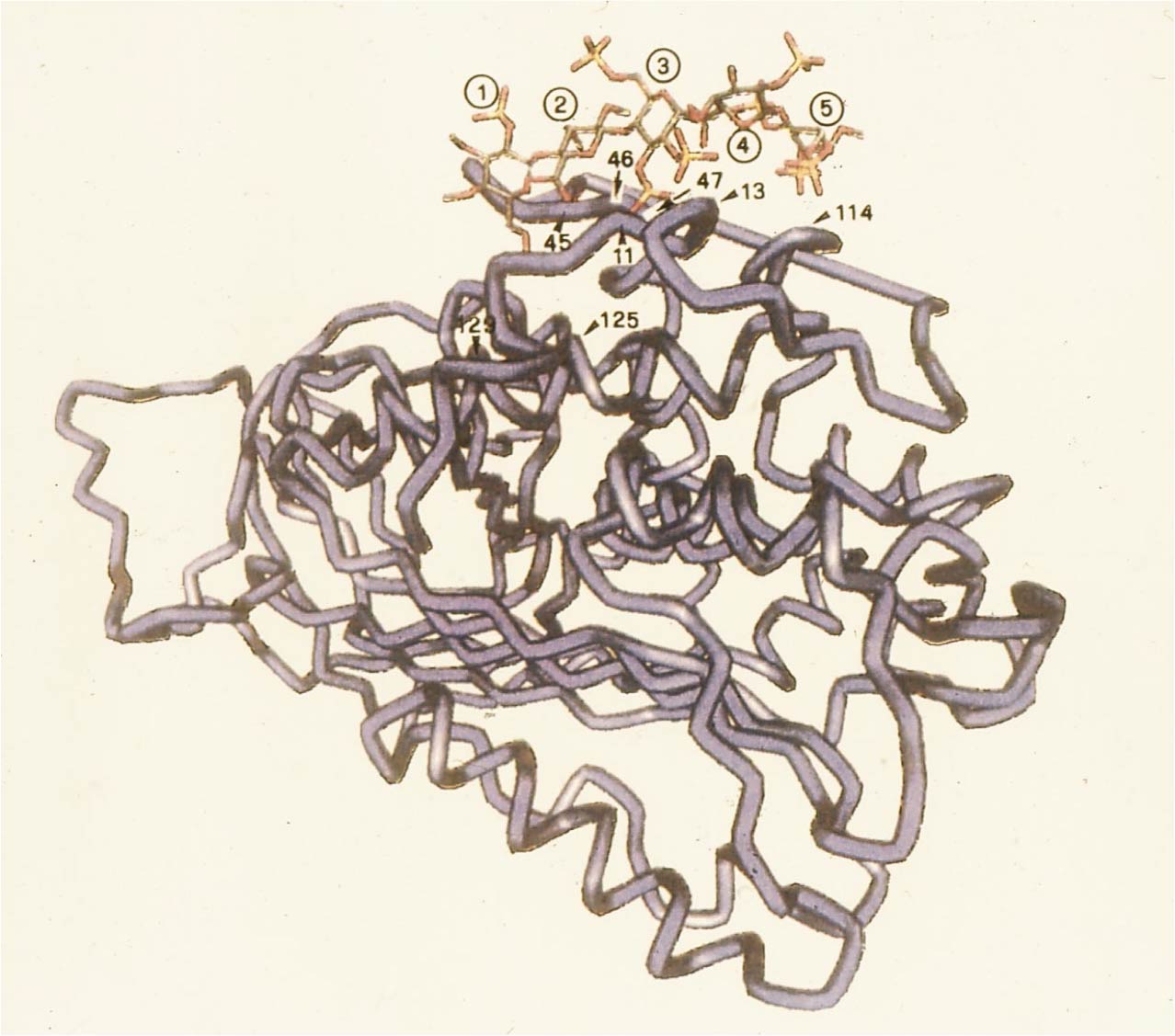 The Heparin Contamination Crisis